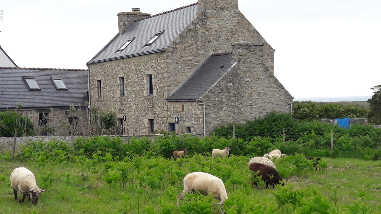 Extérieur du gîte à Ouessant